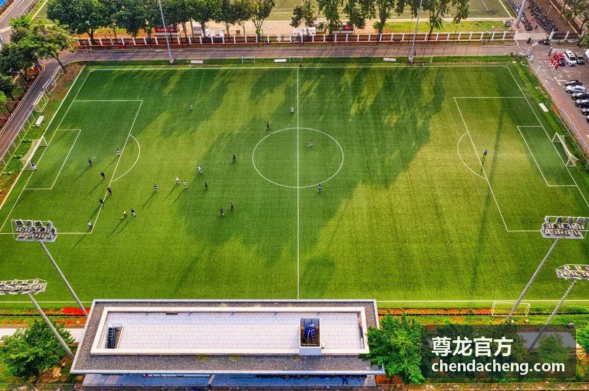 尊龙官方品牌首屏背景图