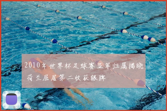 2010年世界杯足球赛亚军归属揭晓 荷兰屈居第二收获银牌