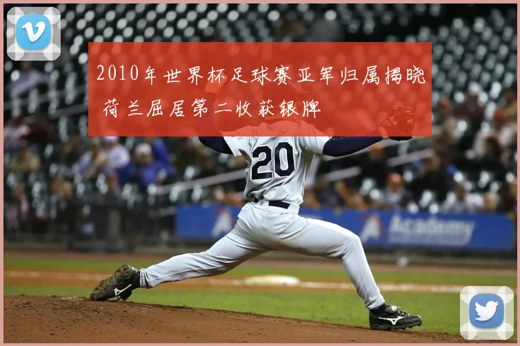 2010年世界杯足球赛亚军归属揭晓 荷兰屈居第二收获银牌
